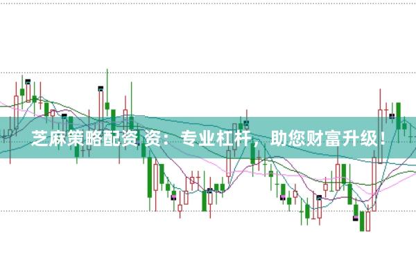 芝麻策略配资 资：专业杠杆，助您财富升级！
