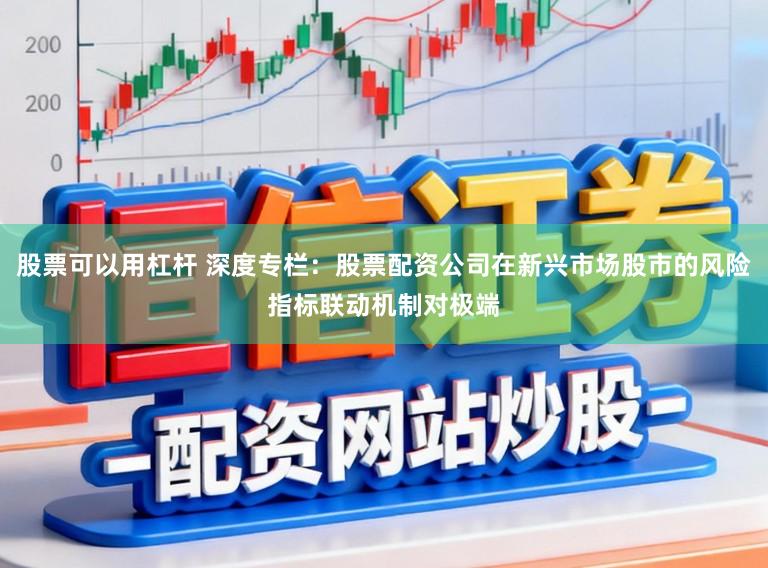 股票可以用杠杆 深度专栏：股票配资公司在新兴市场股市的风险指标联动机制对极端